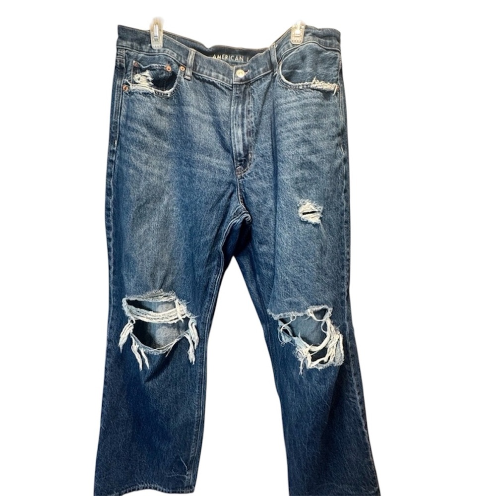 American Eagle Outfitters Distressed Low Rised Ex Boyfriend Jeans